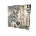 Fondo 16 x 16 in. Rustic White Horse-Print on Canvas FO3336823